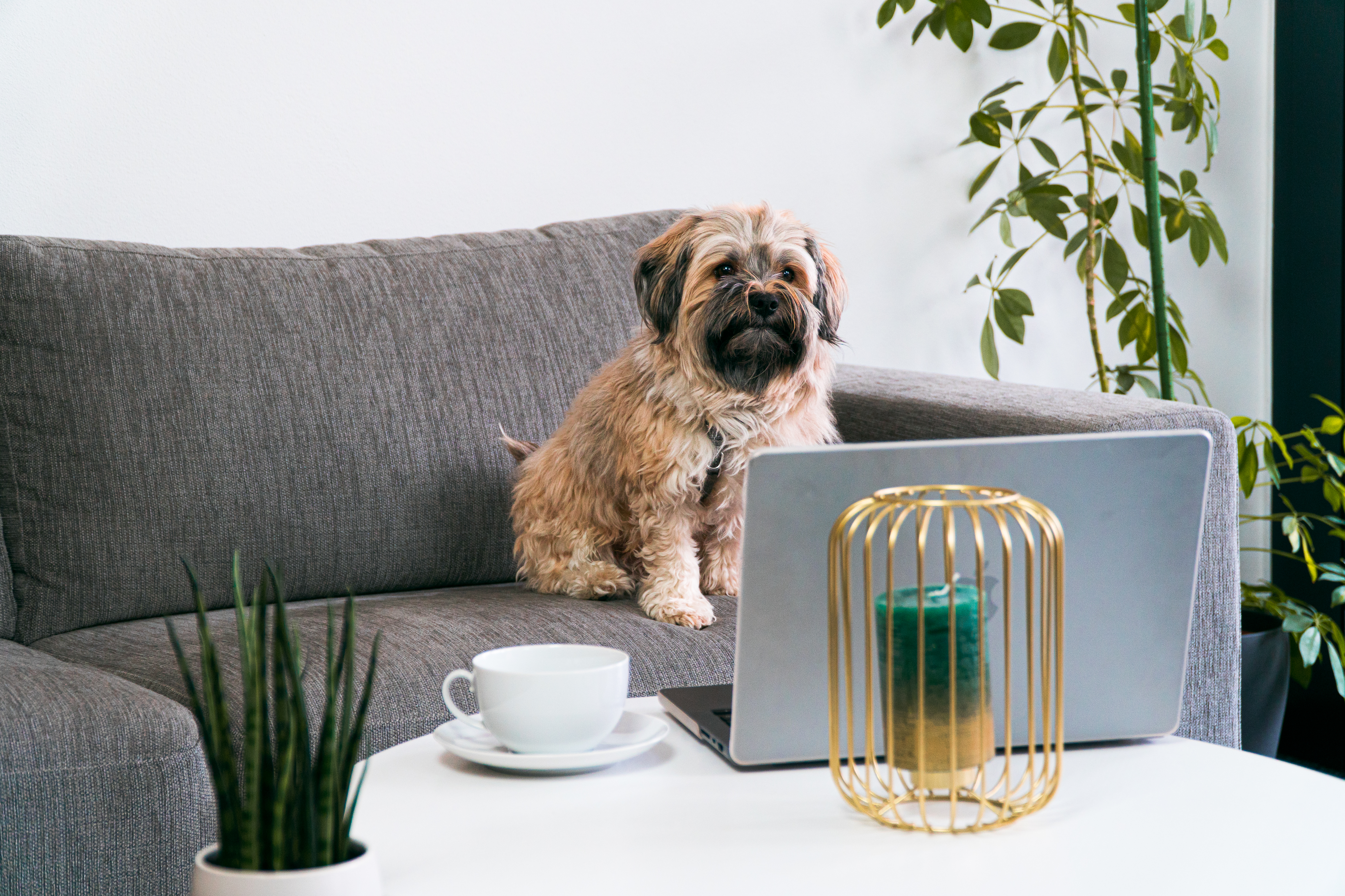 spencer 1 new spencer 1 new